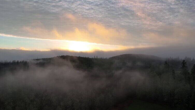 清晨迷雾云雾森林云海日出唯美自然风景