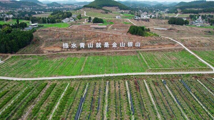 绿水青山金山银山