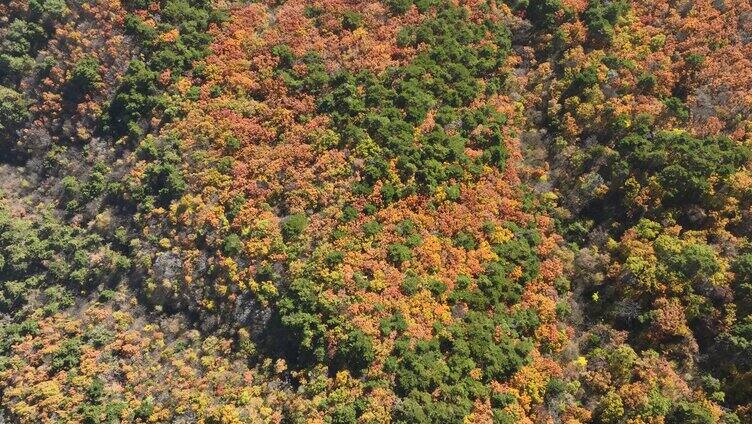 航拍辽宁千山色彩斑斓的秋景