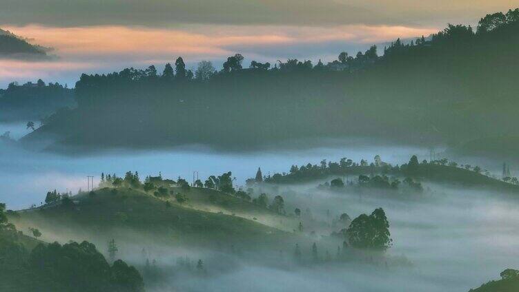 航拍云雾茶山