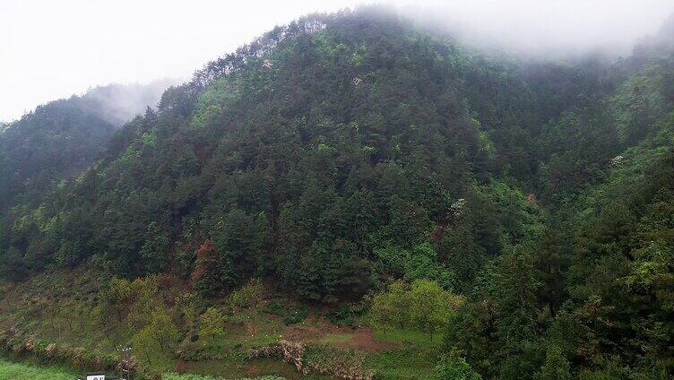 云海山脉歙县昱岭关