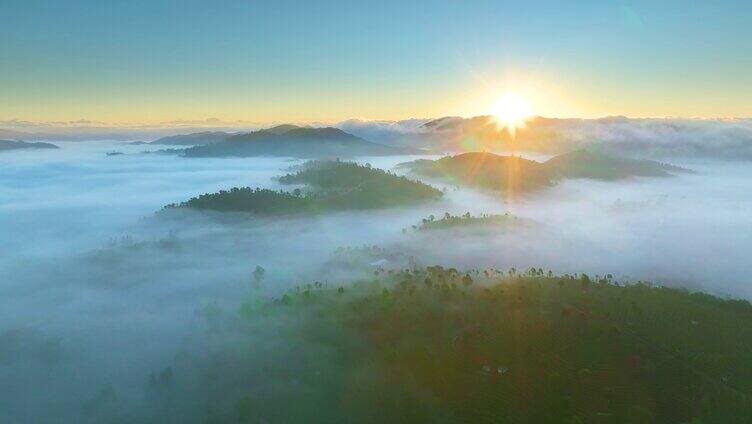 航拍云雾茶山