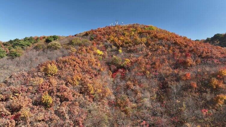 航拍辽宁千山色彩斑斓的秋景