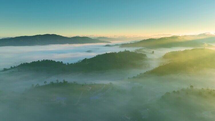 航拍云雾茶山