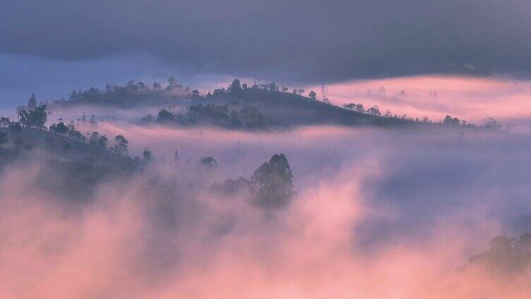 航拍云雾茶山