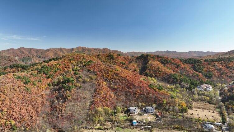 航拍辽宁千山色彩斑斓的秋景