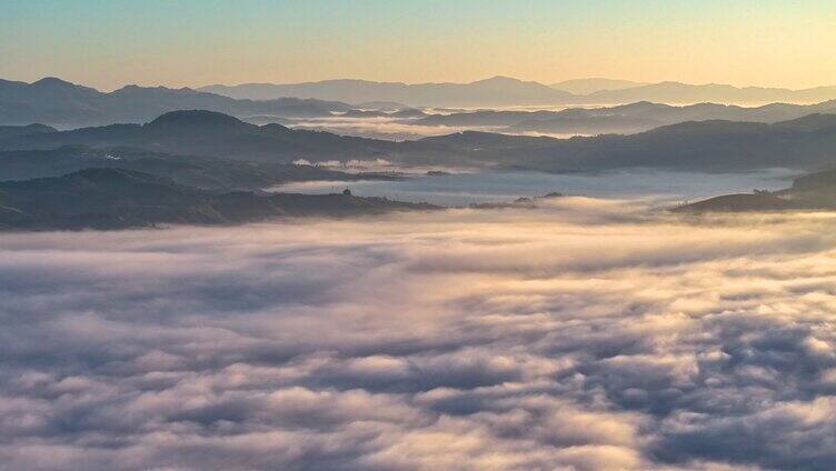 云雾中的茶山航拍