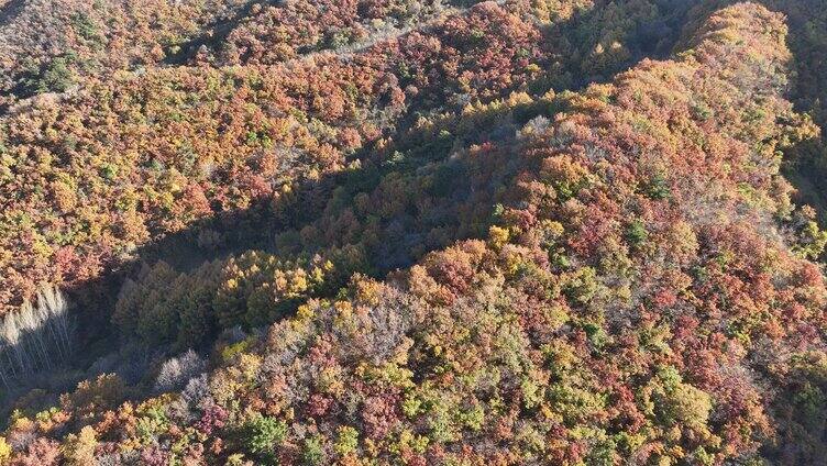 航拍辽宁千山色彩斑斓的秋景