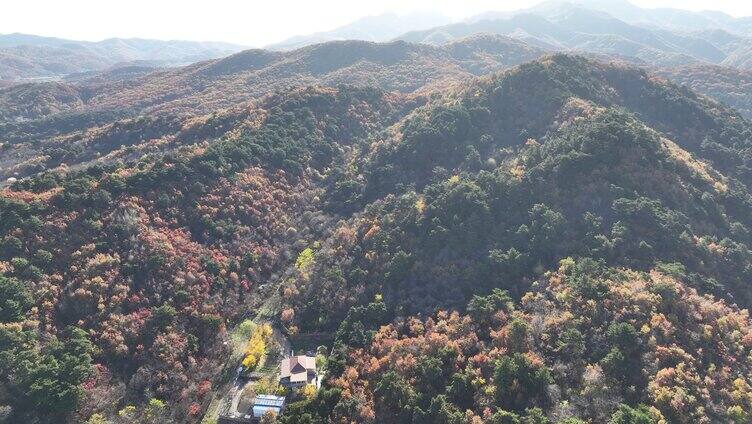 航拍辽宁千山色彩斑斓的秋景