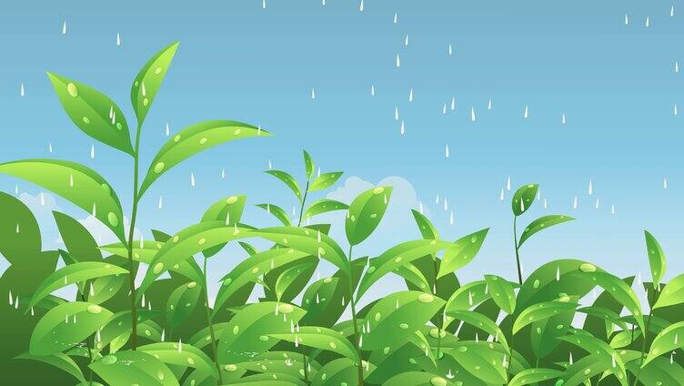 春雨下在绿色的植物上MG动画扁平化AN源