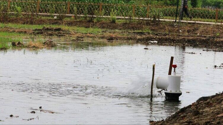 高标准示范农田标准化农田灌溉水泵