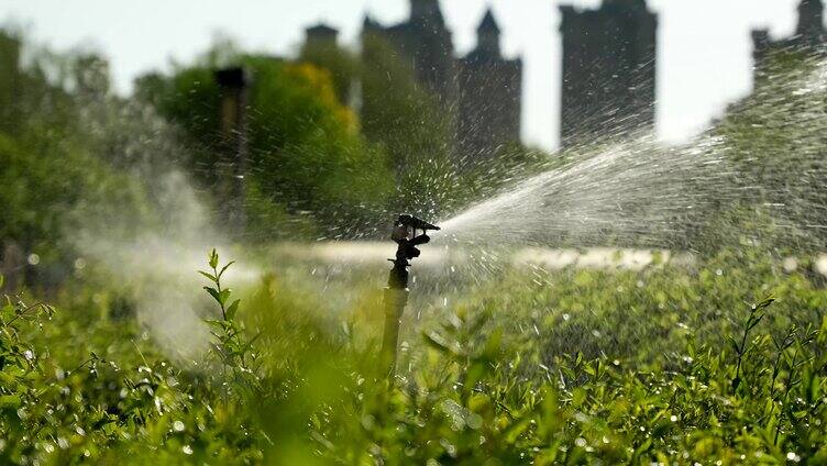绿化浇水/喷洒头浇水/绿化带灌溉