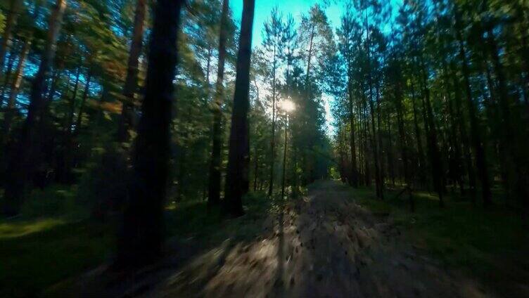 航拍秋季森林小路无人机穿越树林