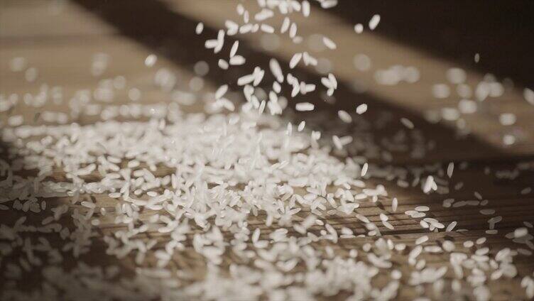 水稻农业 丰收粮食大米特写 熟米饭
