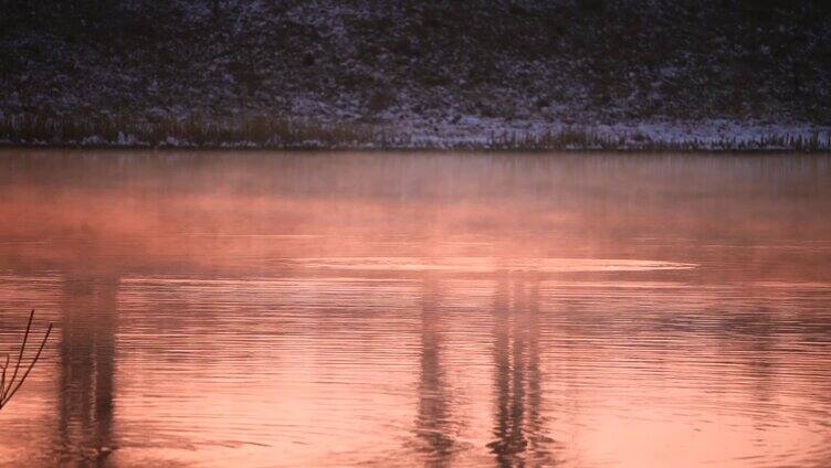 夕阳湖面野鸭游进湖里面