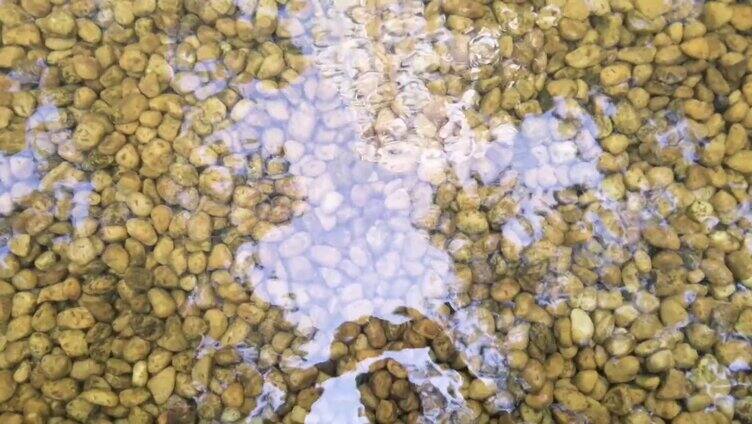 流动的溪水 鹅卵石 小石子