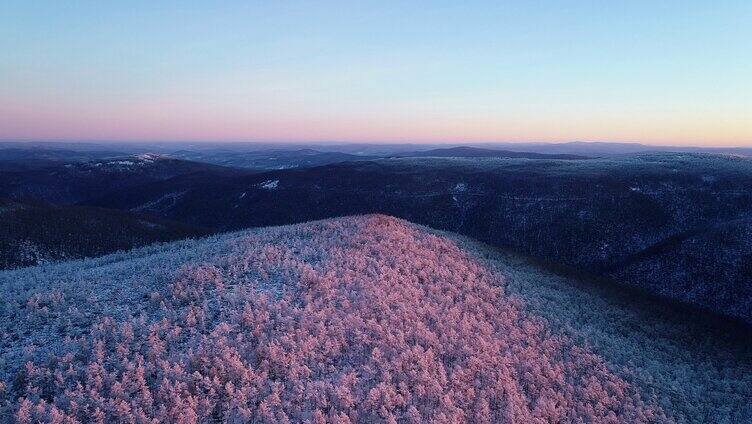 朝阳照耀的大兴安岭林海雪原