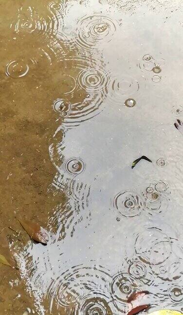 下雨天慢镜头雨水滴在地上