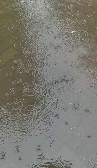 下雨天落在地上的雨滴