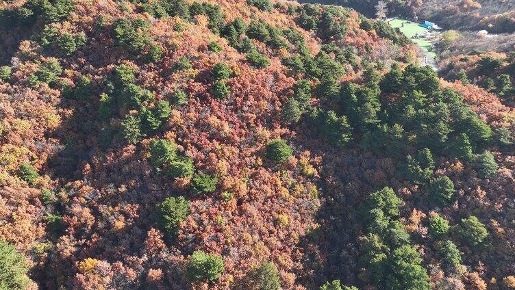 辽宁千山秋景航拍