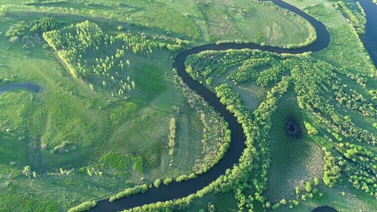航拍内蒙古扎敦河湿地蜿蜒河湾