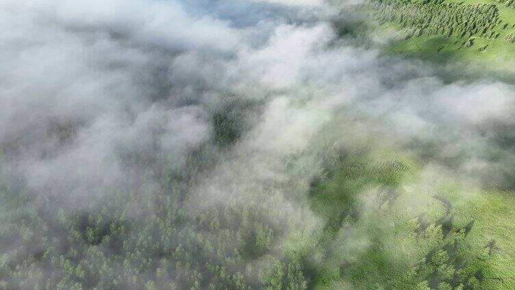 云雾缭绕的绿色山岗