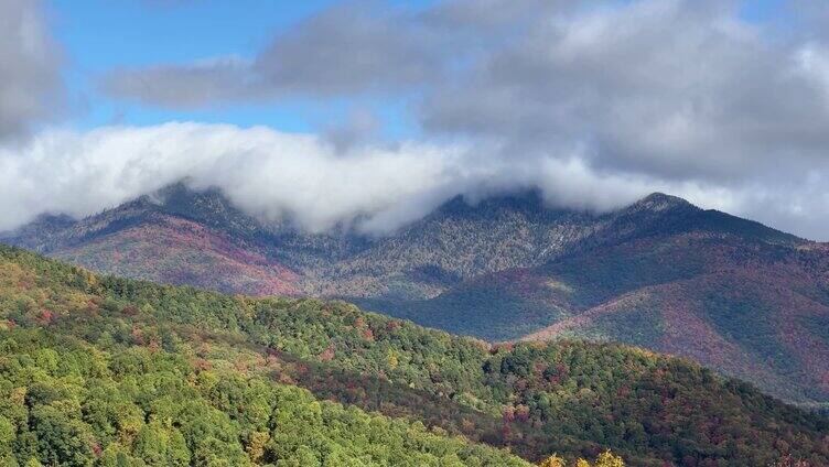 秋季森林香山红叶白云飘动延时摄影