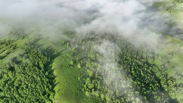 云雾缭绕的绿色山岗