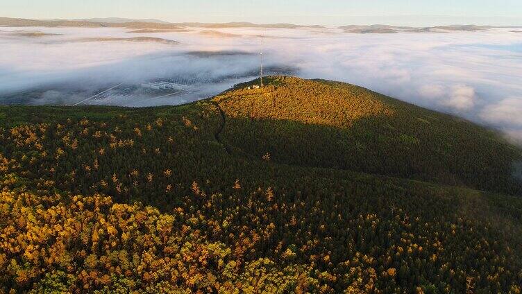 航拍大兴安岭秋季山林云海