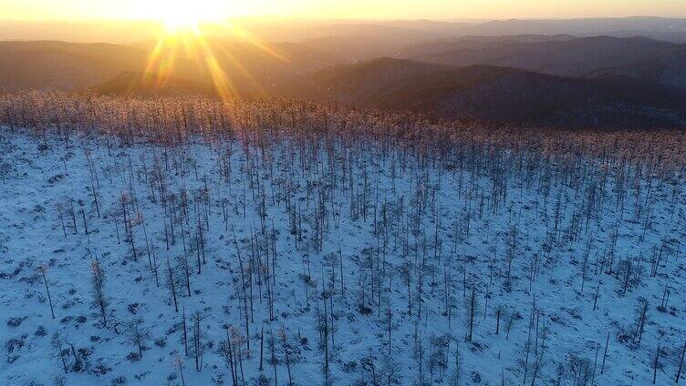 航拍暮色中的大兴安岭雪色山林