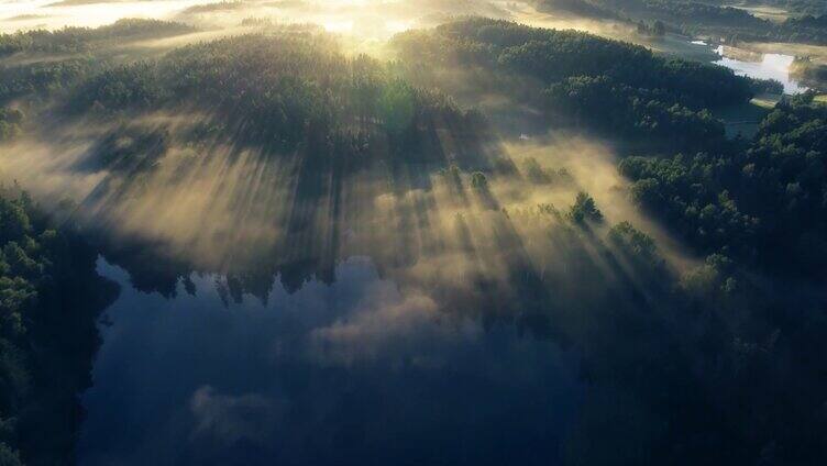 航拍清晨雾气森林湖泊薄雾丁达尔光树林雾气