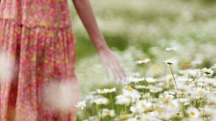 春天花丛中行走的美女触摸野花
