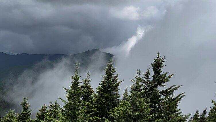 山顶云海森林雾气蒸腾风景素材