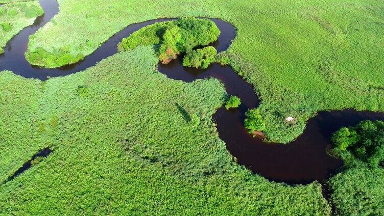 航拍湿地河湾晨雾