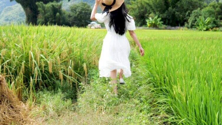年轻女子在水稻田里合集