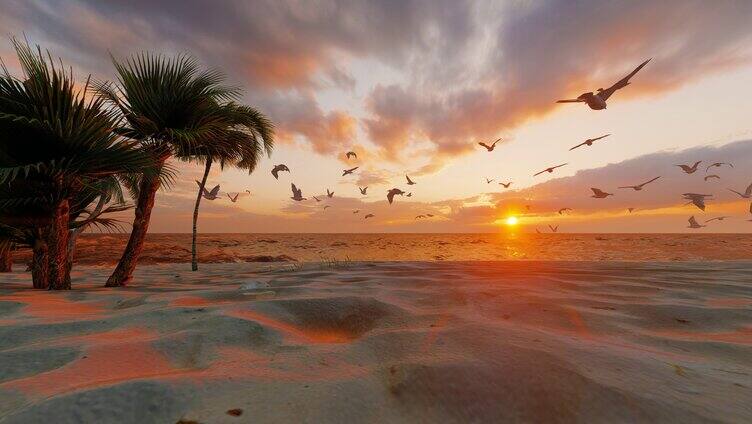 大海沙滩上自由飞翔的海鸥