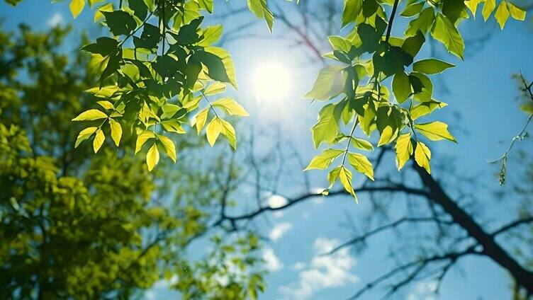 夏天高温天气太阳直射炎热