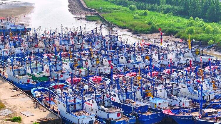航拍上海 崇明大道桥 崇明渔港 渔船