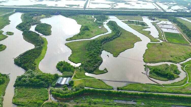 航拍上海崇明岛东滩湿地全景 国家级保护区