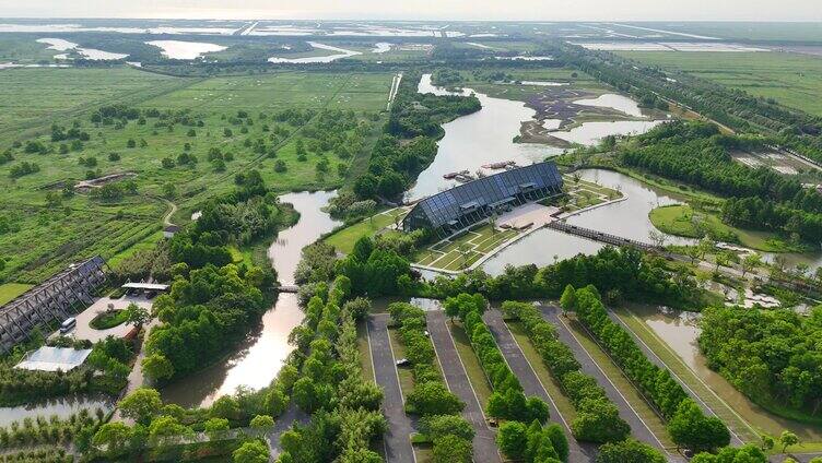 航拍上海崇明岛东滩湿地全景 国家级保护区