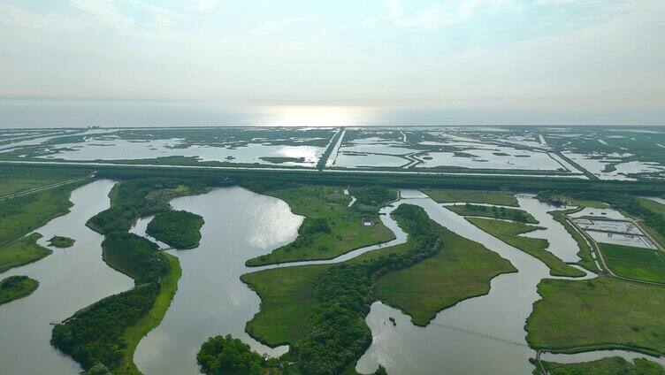 航拍上海崇明岛东滩湿地全景 国家级保护区