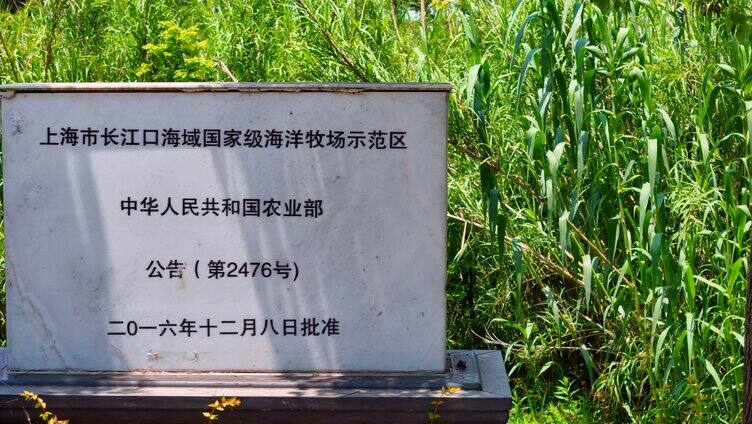 上海崇明岛长江口海域国家级海洋牧场示范区