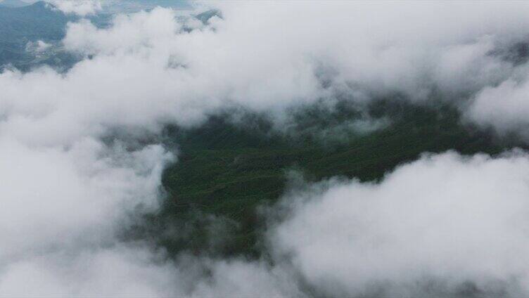 山间森林云海生态航拍