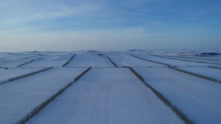夕阳下的垦区雪原