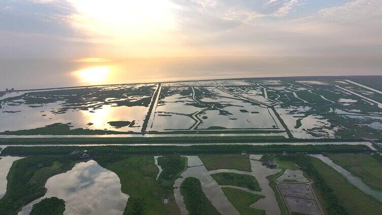 航拍上海崇明岛东滩湿地唯美逆光金色日出