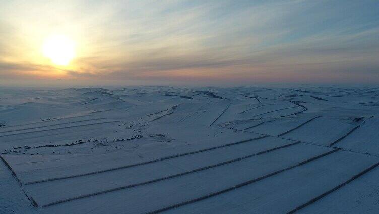 夕阳下的垦区雪原