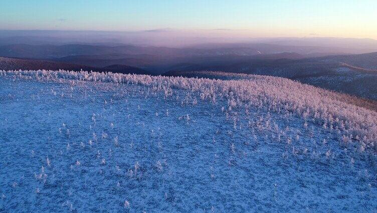 夕阳照耀的大兴安岭林海雪原