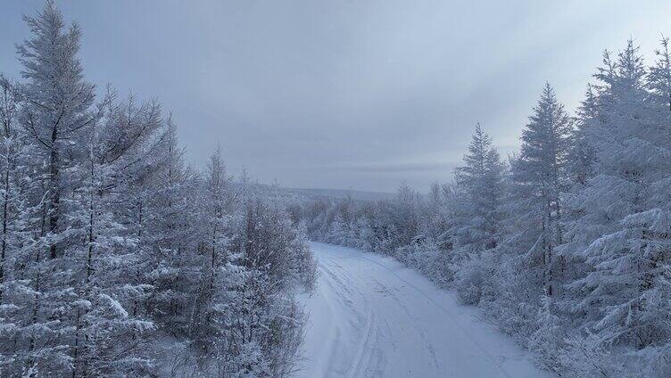 大兴安岭林海雪原和雪路