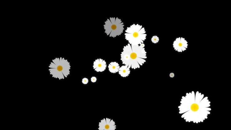 唯美白菊花粒子旋转特效视频