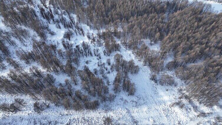 航拍大兴安岭漠河林海雪原